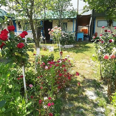 Camping Casuta Mihaela Crisan  Exterior photo