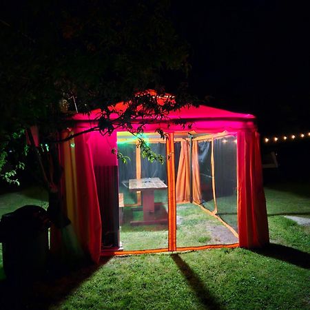 Camping Casuta Mihaela Crisan  Exterior photo
