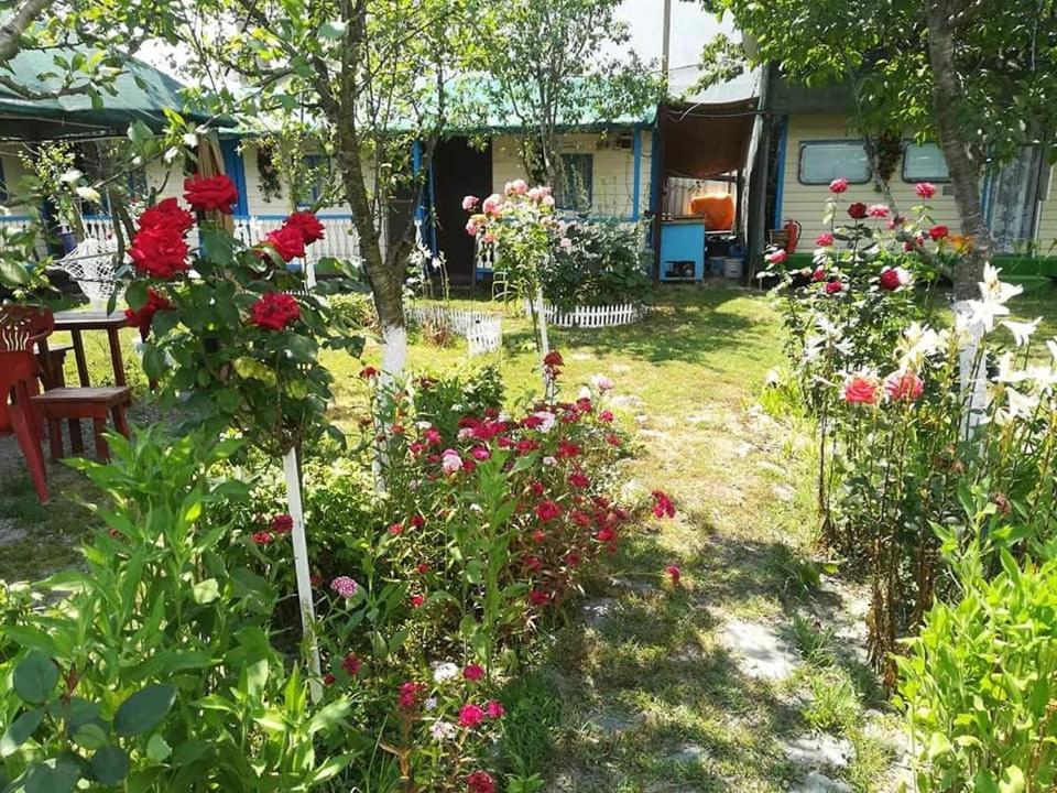 Camping Casuta Mihaela Crisan  Exterior photo