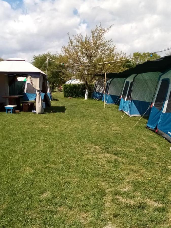 Camping Casuta Mihaela Crisan  Exterior photo
