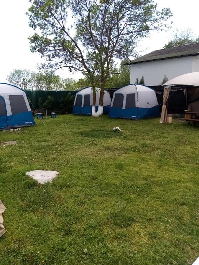 Camping Casuta Mihaela Crisan  Exterior photo