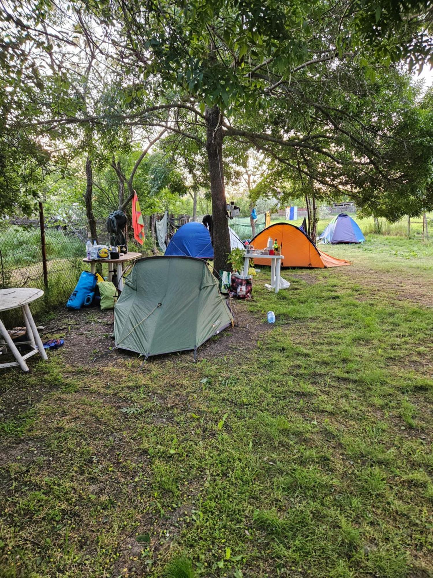Camping Casuta Mihaela Crisan  Room photo