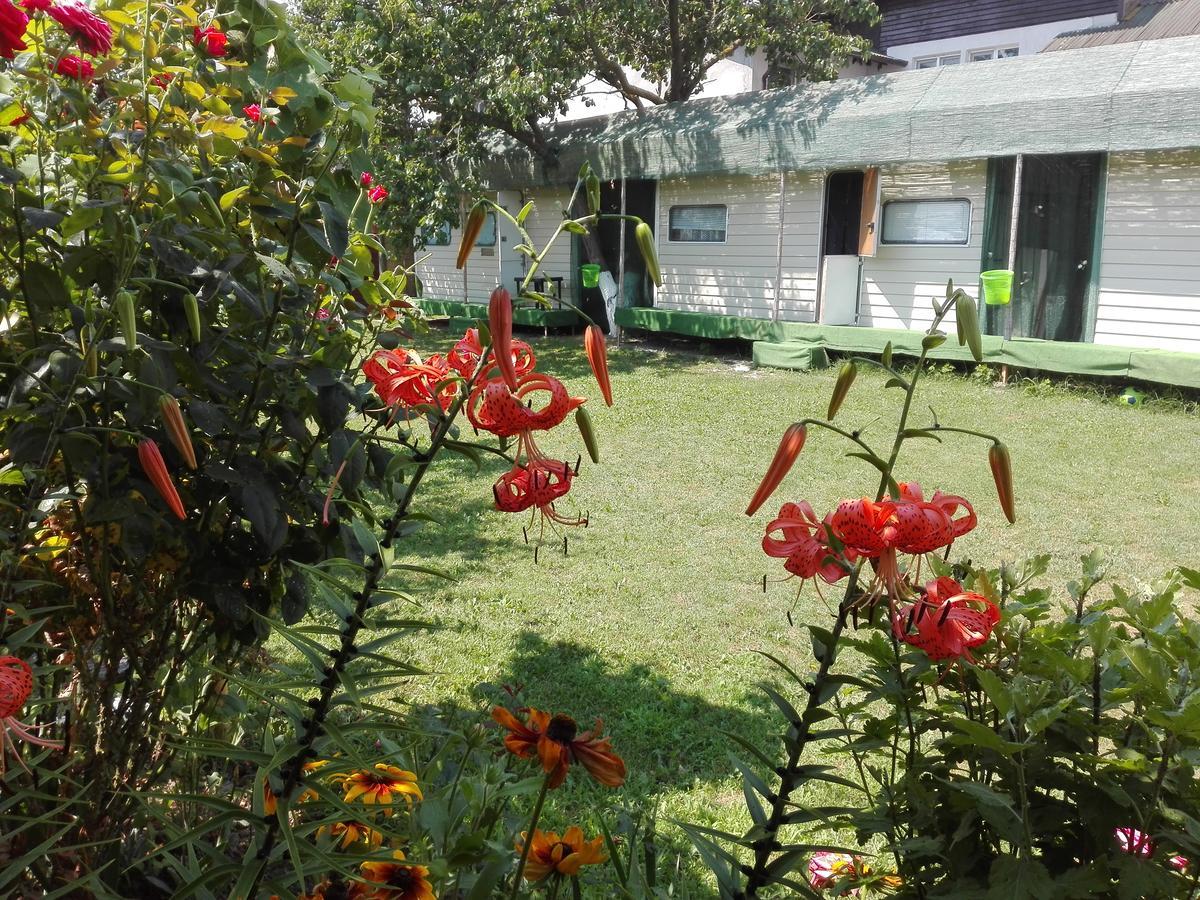 Camping Casuta Mihaela Crisan  Exterior photo
