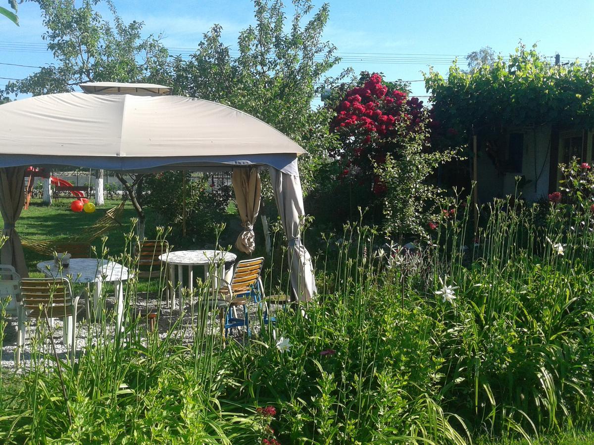 Camping Casuta Mihaela Crisan  Exterior photo